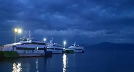 BUDO'nun seferleri iptal edildi