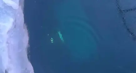 Baykal Gölü’nde can pazarı: Buz tabakası kırıldı, turistleri taşıyan araç göl sularına gömüldü