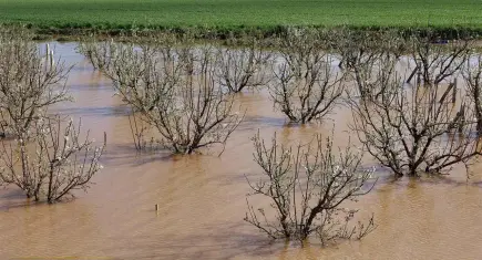 Gediz taşkını sonrası Turgutlu'da inceleme