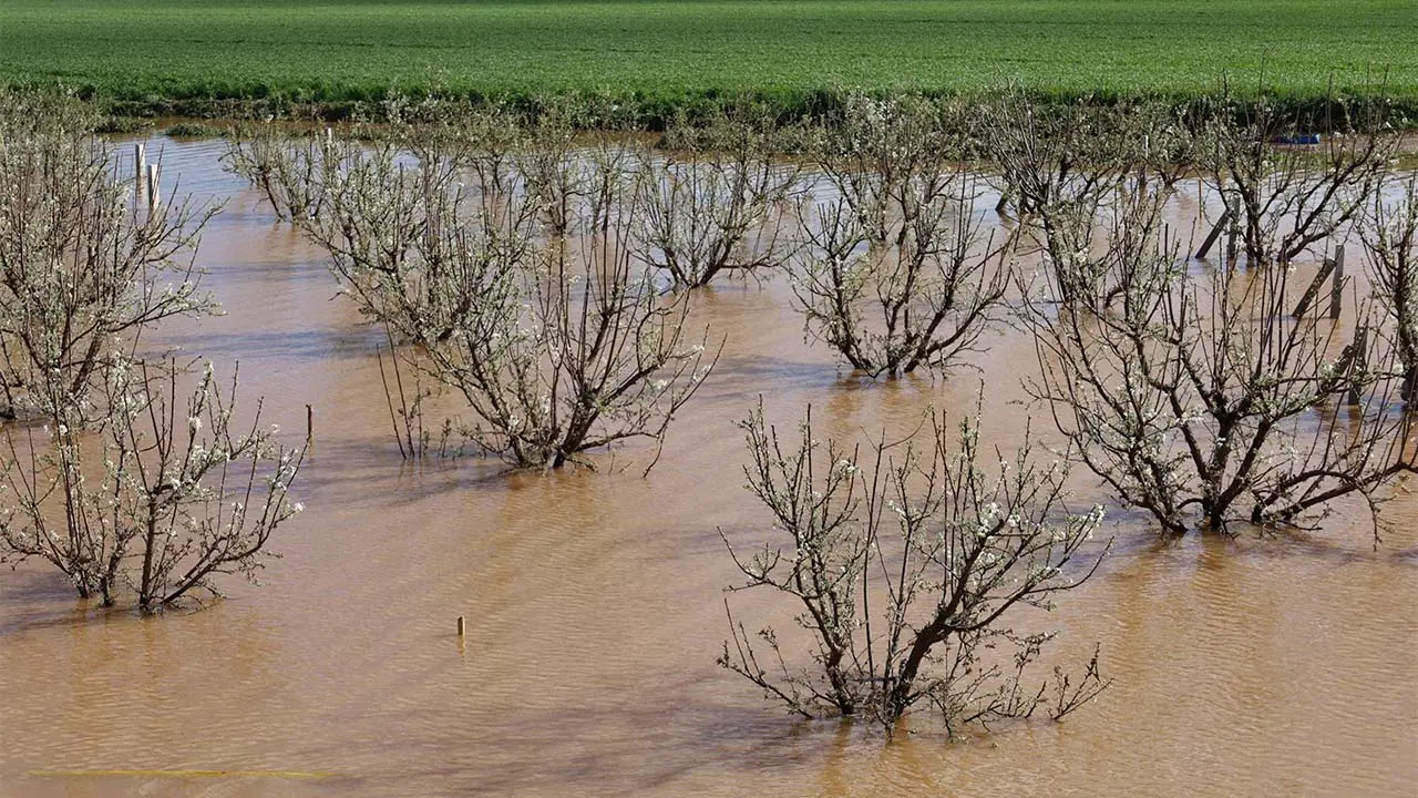 Gediz taşkını sonrası Turgutlu'da inceleme