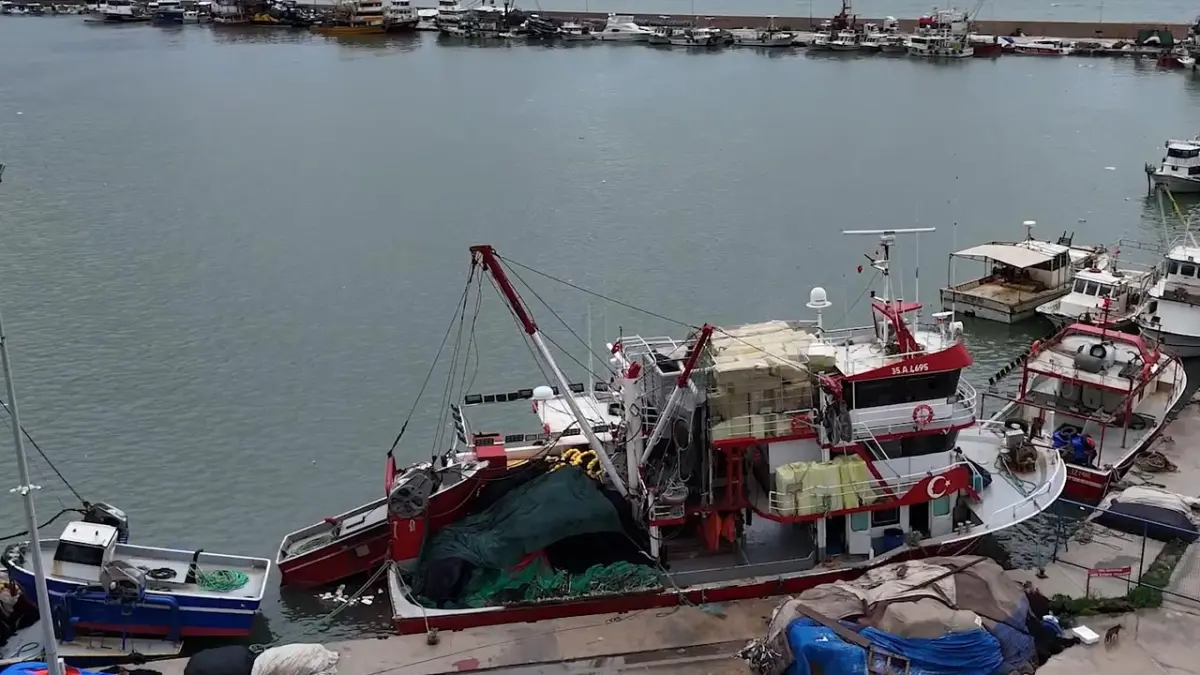 Egeli balıkçılar sezonun kalanından umutlu görseli