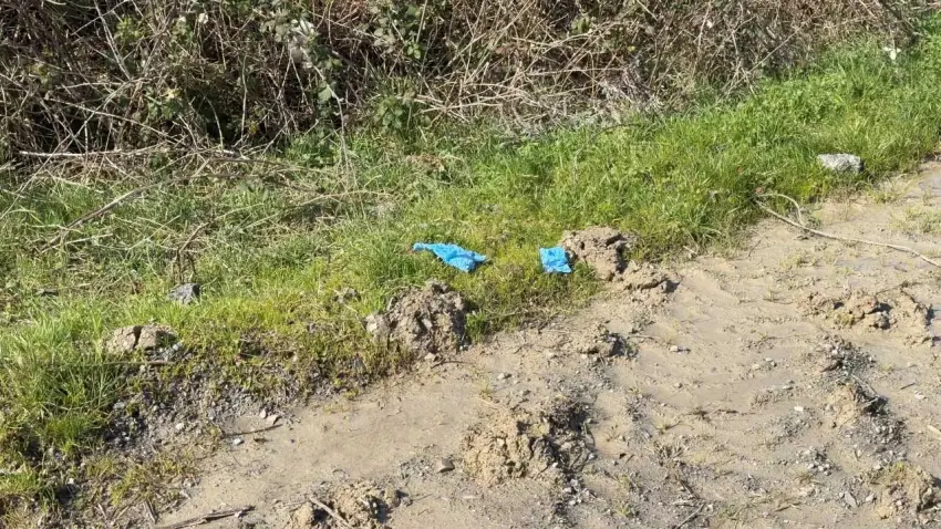 İstanbul'da vahşet: Çinli iş insanı gömülü bulundu, 10 şüpheli Çin'de yakalandı! haberinin görseli