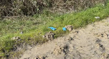 İstanbul'da vahşet: Çinli iş insanı gömülü bulundu, 10 şüpheli Çin'de yakalandı!