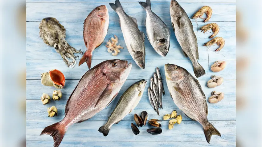 Türk su ürünleri ABD’de yükselişte: 10 yılda ihracat 95 milyon dolara ulaştı haberinin görseli