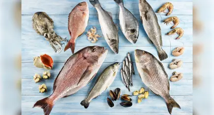 Türk su ürünleri ABD’de yükselişte: 10 yılda ihracat 95 milyon dolara ulaştı