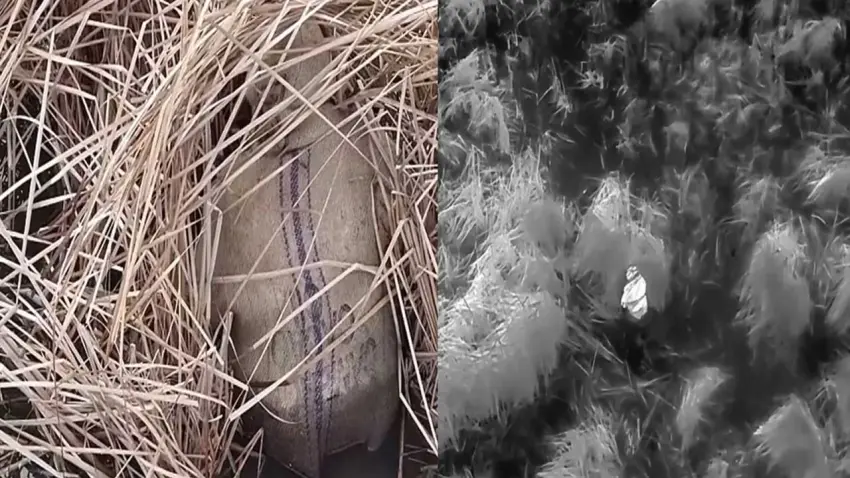 Kaçak avcılara termal takip: 13 kişi suçüstü yakalandı! haberinin görseli