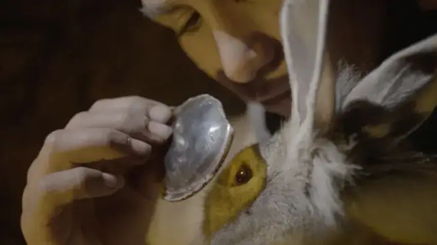 tavsan imparatorlugu