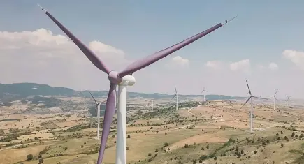 Bergama’da dev proje için 6 bine yakın ağaç kesilecek