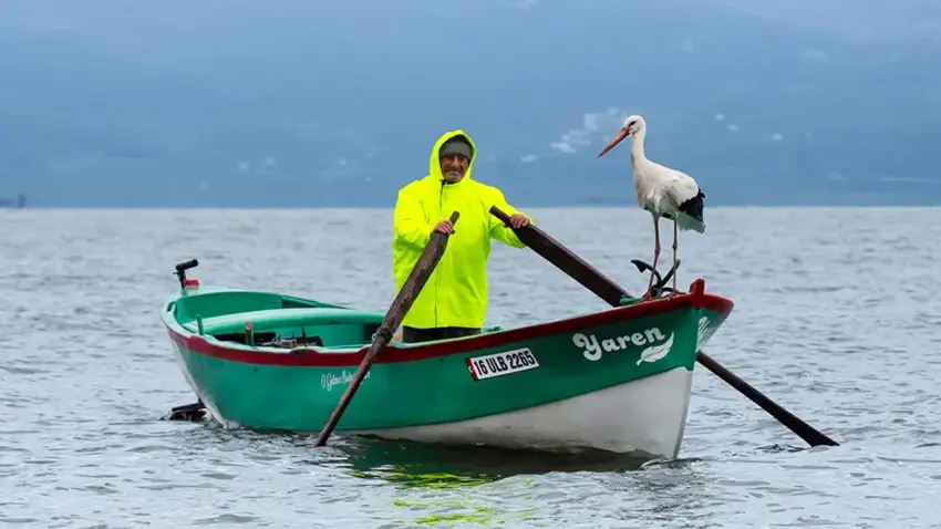 Beklenen kavuşma erken gerçekleşti: Yaren Leylek 15’inci yılında da geldi haberinin görseli
