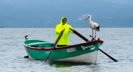 Beklenen kavuşma erken gerçekleşti: Yaren Leylek 15’inci yılında da geldi