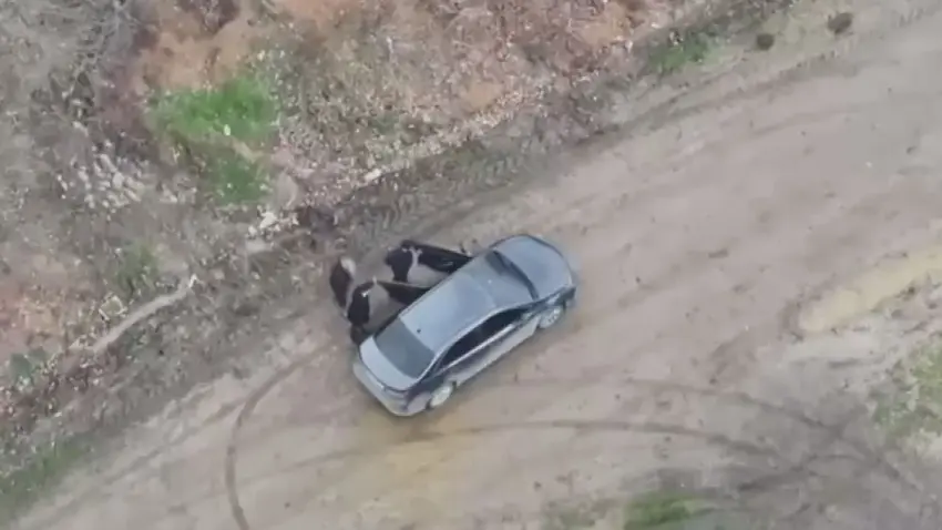 Çiftlikte dehşet: Çalışanına elektrikli testereyle saldırdı! haberinin görseli