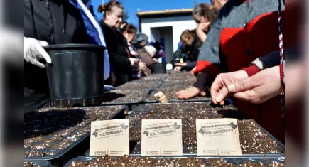 Bornova’da toprak kadınlarla canlanıyor: Kent Bostanlarında yaz mesaisi başladı