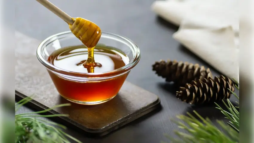 Türk Çam Balı Manuka’ya rakip olacak: AR-GE projesi başladı haberinin görseli