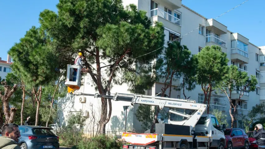 Karşıyaka’da ağaçlara bahar bakımı haberinin görseli