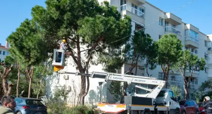 Karşıyaka’da ağaçlara bahar bakımı