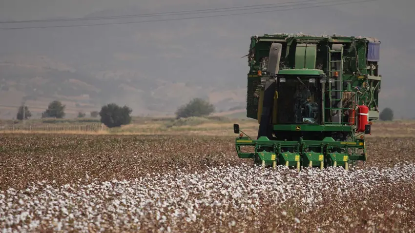 BCI Sertifikasına devlet desteği haberinin görseli