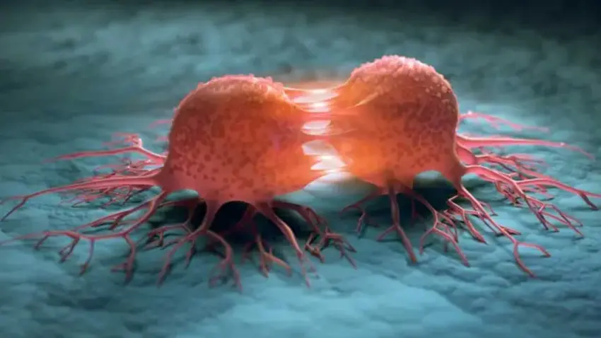 Kanser iyileştirilmesi en basit hastalıktır haberinin görseli