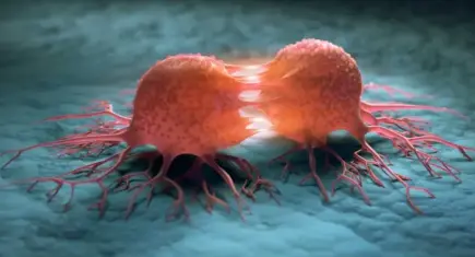 Kanser iyileştirilmesi en basit hastalıktır