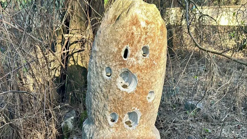 Muğla'da tarihi hırsızlık: 2 asırlık adak taşı çalındı haberinin görseli