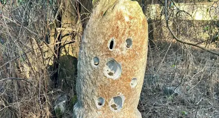 Muğla'da tarihi hırsızlık: 2 asırlık adak taşı çalındı