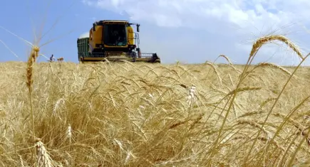 Çiftçilere tarımsal destek ödemesi yarın hesaplara yatıyor