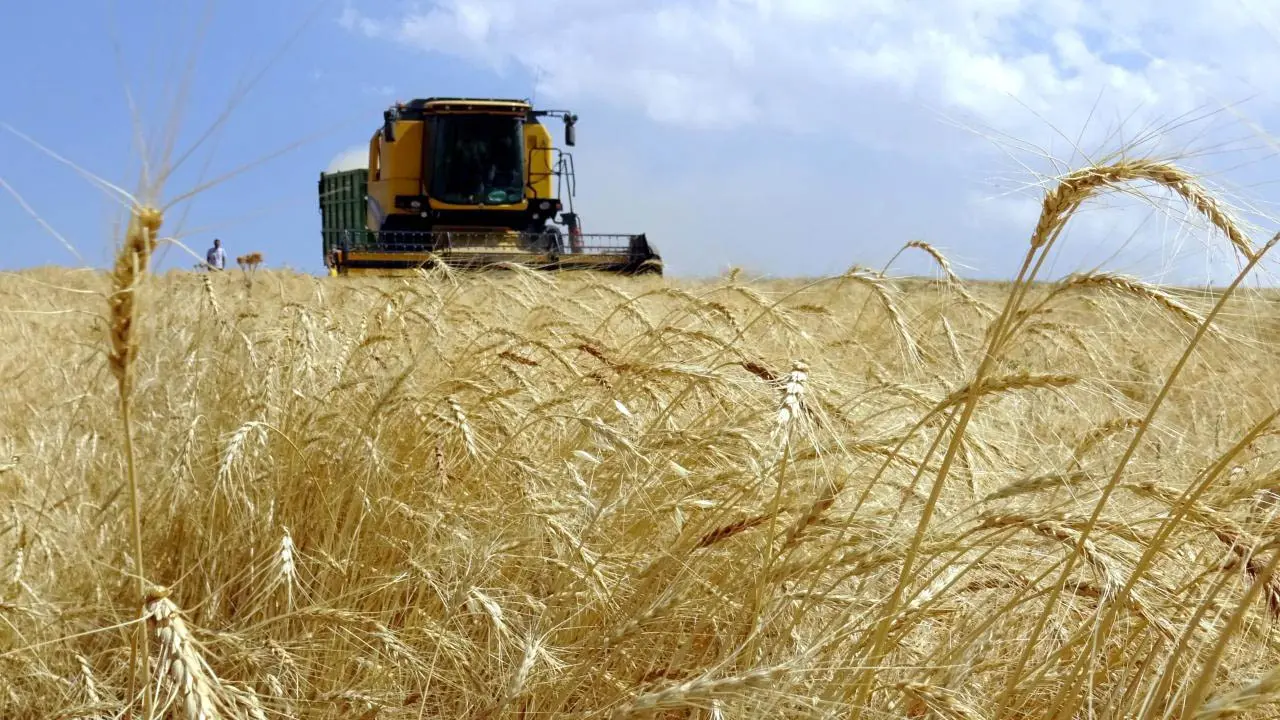 Çiftçilere tarımsal destek ödemesi yarın hesaplara yatıyor