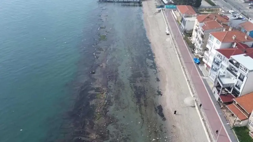 Marmara Denizi çekildi: Kral yolu gün yüzüne çıktı! haberinin görseli