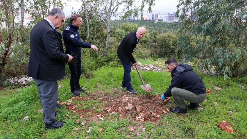 Buca’da hayvan ölümlerinin nedeni belli oldu haberinin görseli