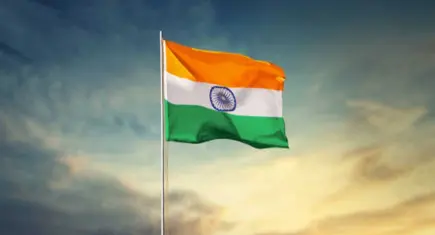 Hindistan'da savaş uçağı düştü