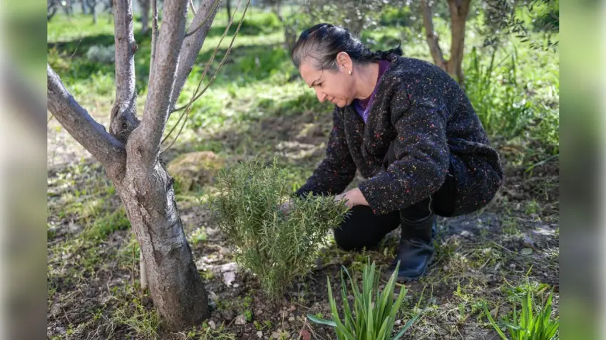 İzmir’de Meslek Fabrikası kursiyeri girişimci oldu: Topraktan umut yeşerdi haberinin görseli