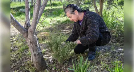 İzmir’de Meslek Fabrikası kursiyeri girişimci oldu: Topraktan umut yeşerdi