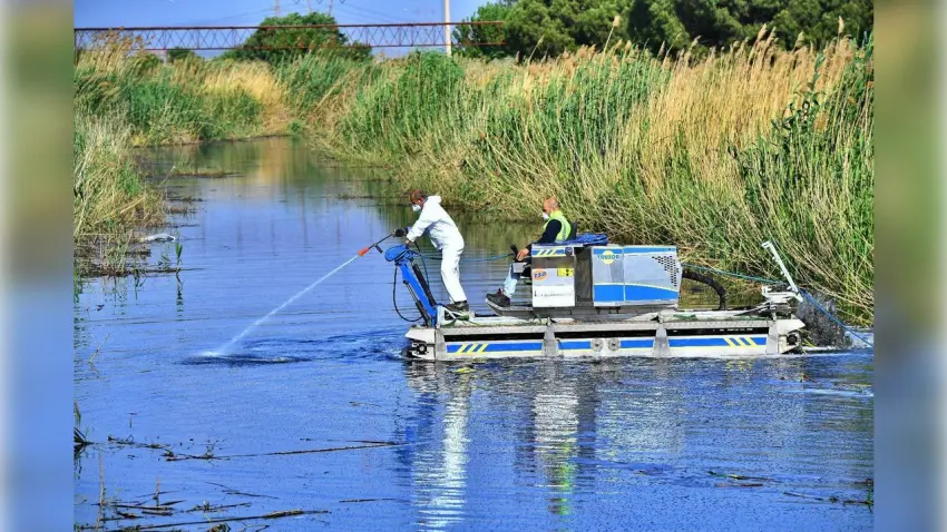 İzmir’de sivrisinek ve zararlılarla mücadelede teknoloji öne çıkıyor haberinin görseli