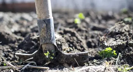 Üre ithalatında gümrük vergisi sıfırlandı