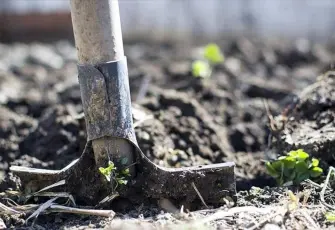 Üre ithalatında gümrük vergisi sıfırlandı