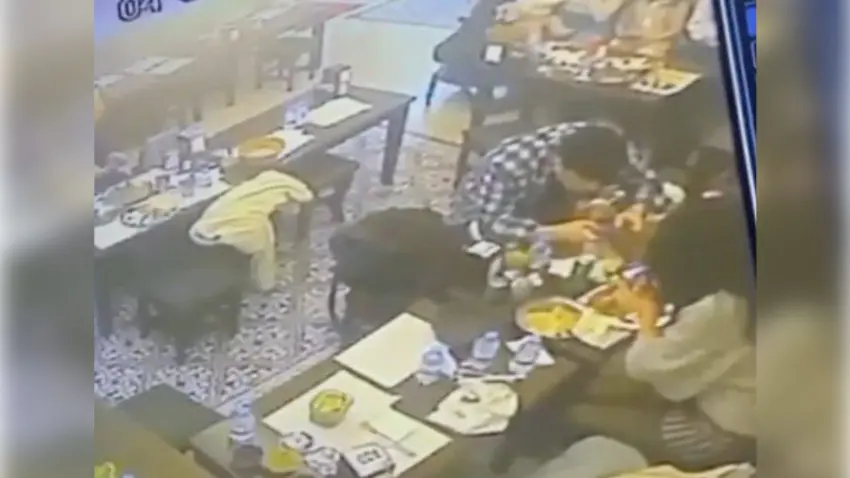 Yemeğinden çıkan böcek dudağını ısırdı, restorandan şikayetçi oldu haberinin görseli