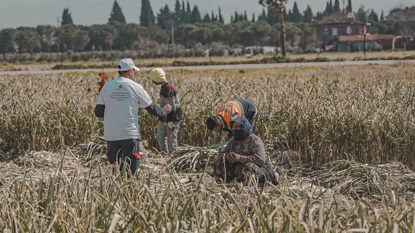 Torbalı’da 8 Mart’a özel kutlama: Kadınlara karanfil, personele idari izin haberinin görseli