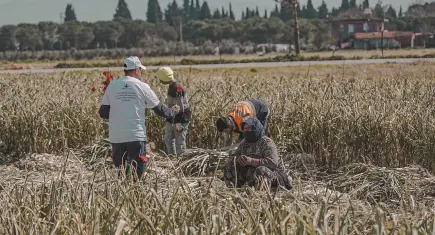 Torbalı’da 8 Mart’a özel kutlama: Kadınlara karanfil, personele idari izin