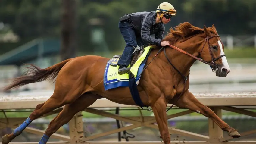 Mersin’de belediyenin aşevinde at eti skandalı: Kavurmadan yarış atı çipi çıktı haberinin görseli