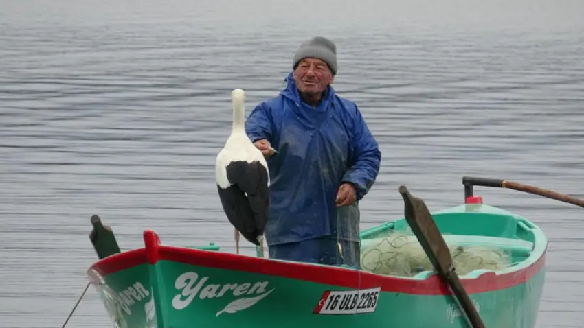 15 yıldır süren dostluk: Balıkçı Adem Yılmaz ile Yaren leylek özlem gideriyor haberinin görseli