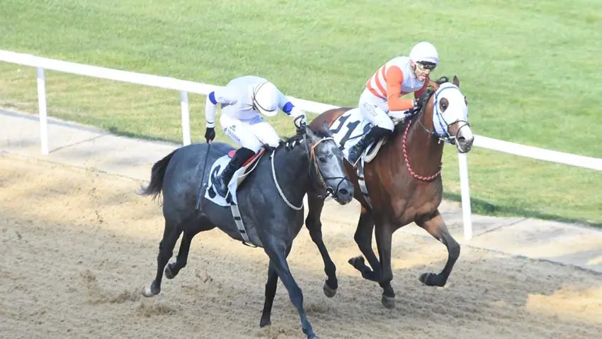  64. Ege Derbisi’nin galibi 'The Protecter' oldu