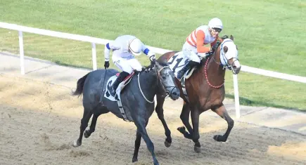  64. Ege Derbisi’nin galibi 'The Protecter' oldu