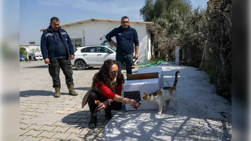 Bornova Belediyesi’ne Can Dostlar İçin Takviye Gıda Bağışı haberinin görseli