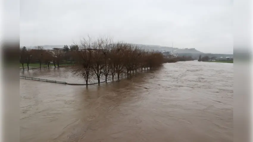 Diyarbakır’da sağanak sele dönüştü: Dereler taştı, tarım arazileri sular altında kaldı haberinin görseli