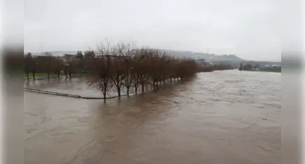 Diyarbakır’da sağanak sele dönüştü: Dereler taştı, tarım arazileri sular altında kaldı