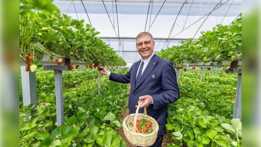 Köylüye Can Suyu: İzmir’de Kırsal Kalkınma Destekleri 1,4 Milyarı Aştı haberinin görseli