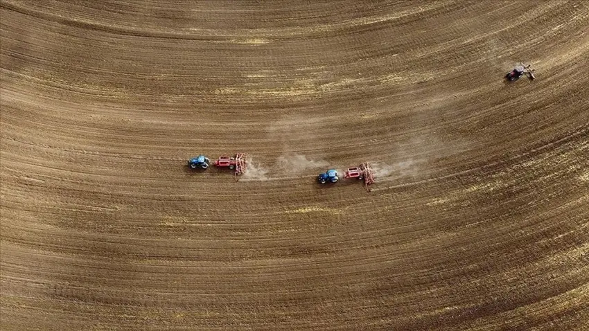 Türkiye genelindeki tarım sayımında sona yaklaşıldı haberinin görseli