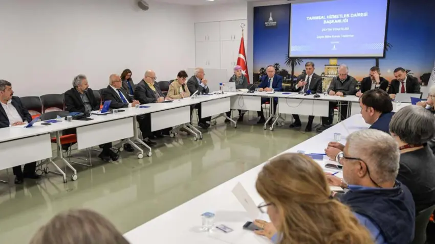 İzmir zeytini için Büyükşehir’den markalaşma hamlesi haberinin görseli