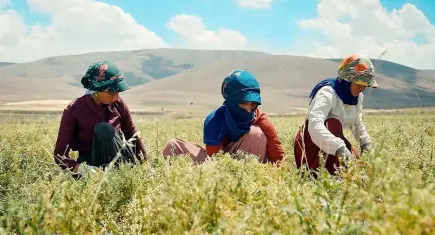 Migros’un onarıcı tarım projesi dünyaya örnek gösterildi