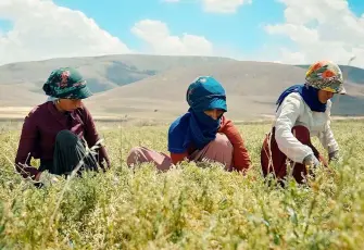 Migros’un onarıcı tarım projesi dünyaya örnek gösterildi