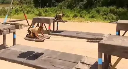 Survivor'da dokunulmazlık oyununu kim kazandı?